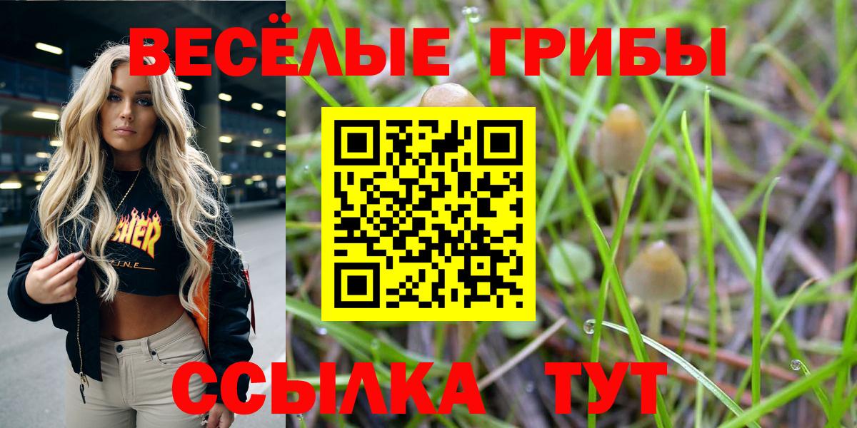 Галлюциногенные грибы Psilocybine cubensis Аша