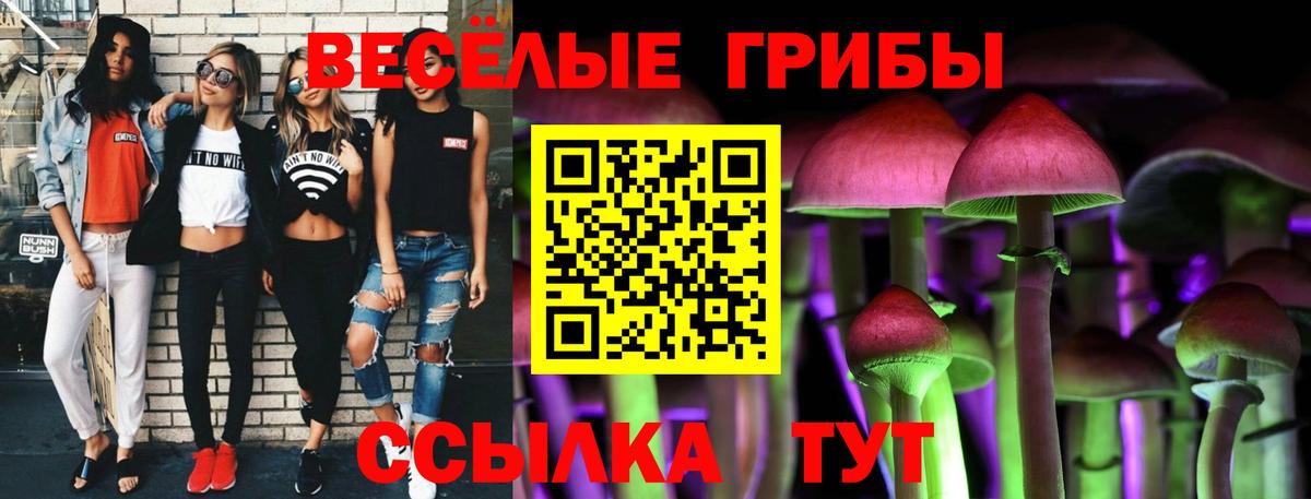Псилоцибиновые грибы мицелий  Вход с VPN  Аша 